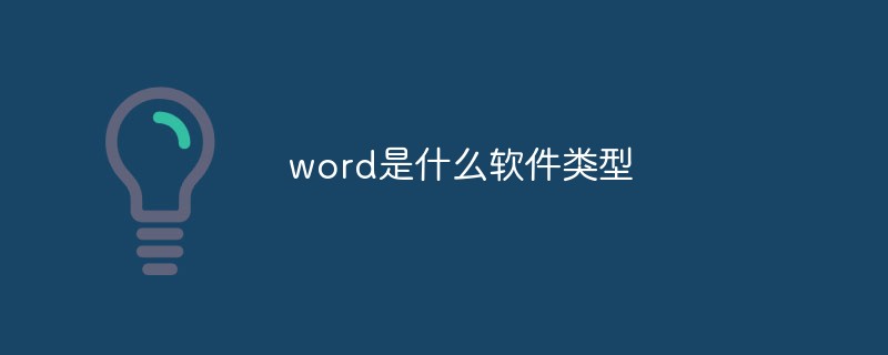 word是什么软件类型(图1)