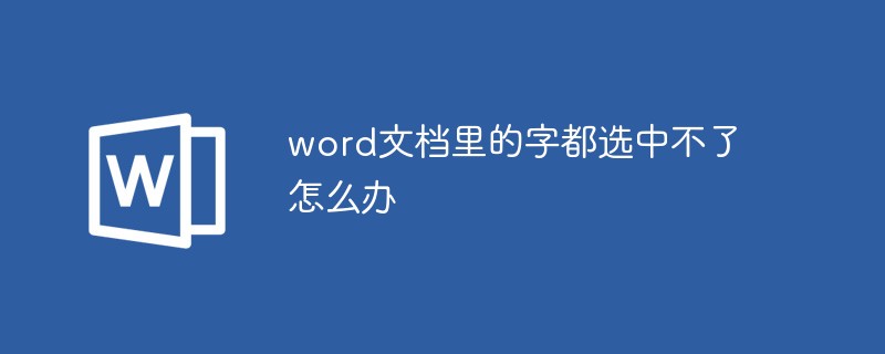 word文档里的字都选中不了怎么办(图1)