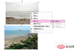 word组合图片组合不了怎么办(图10)