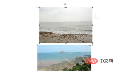 word组合图片组合不了怎么办(图12)