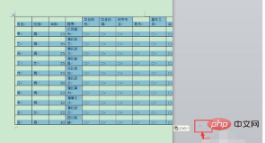 word文档里的表格怎么调整到一页纸上(图3)