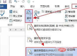 word翻译的功能在哪里？(图10)