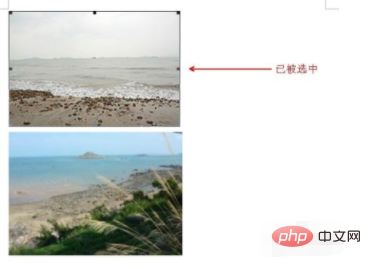 word组合图片组合不了怎么办(图2)