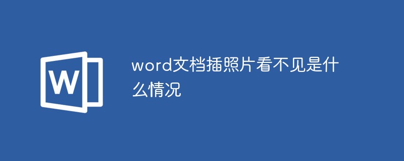 word文档插照片看不见是什么情况(图1)