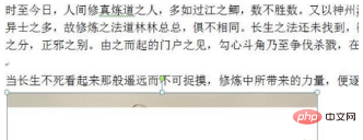 word文档插照片看不见是什么情况(图5)