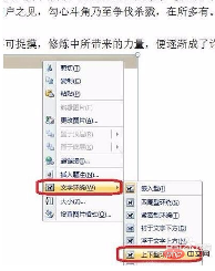 word文档插照片看不见是什么情况(图6)