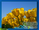 windows 7系统右击桌面快捷小工具使用介绍(图2)