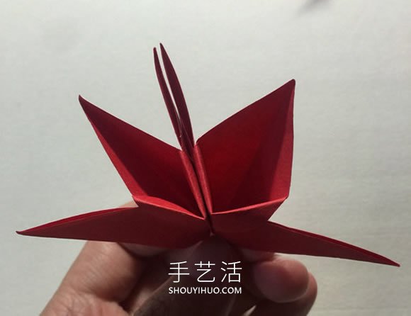 简单折纸4个花瓣 粘合得到一朵四瓣花！(图14)
