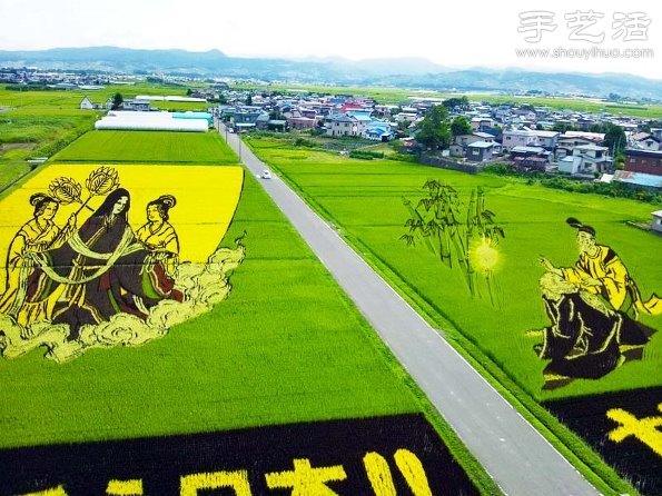 奇妙有趣创意DIY 稻田里创作巨幅画卷(图8)