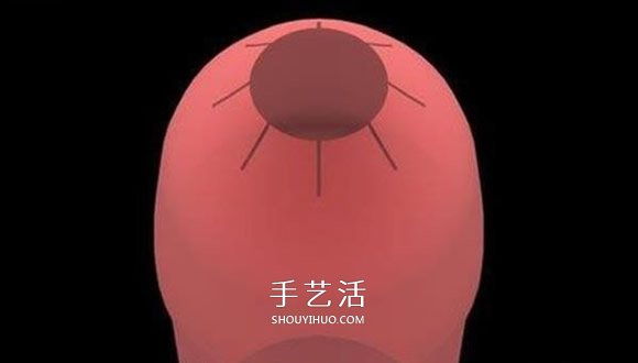 水火箭制作方法图解 自制水火箭的设计与制作(图7)
