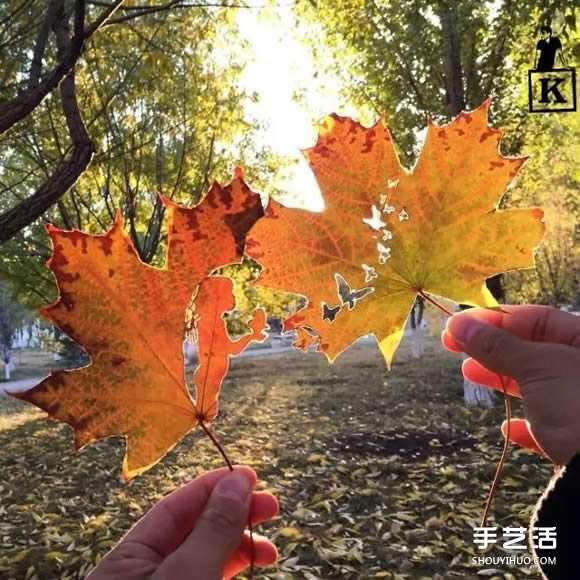 叶子切割画作品图片 精美手工叶切画图片欣赏(图9)