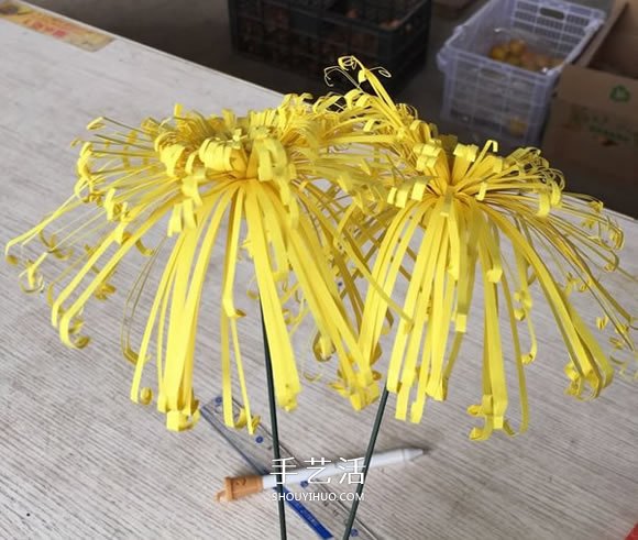 重阳节大菊花的制作方法 简单又美丽！(图8)