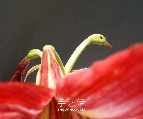花儿还可以这样玩！创意让花儿变得这么有趣(图4)