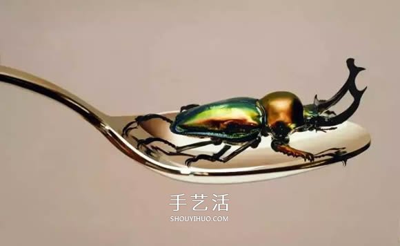 真没糊弄你！韩国画家一笔一笔画的超写实画(图9)