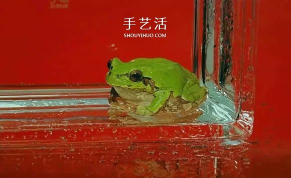真没糊弄你！韩国画家一笔一笔画的超写实画(图6)
