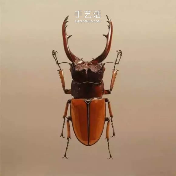 真没糊弄你！韩国画家一笔一笔画的超写实画(图16)