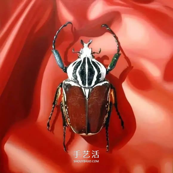 真没糊弄你！韩国画家一笔一笔画的超写实画(图15)