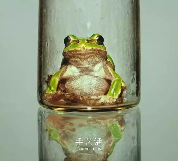 真没糊弄你！韩国画家一笔一笔画的超写实画(图22)