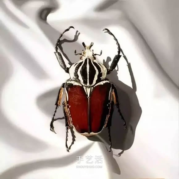 真没糊弄你！韩国画家一笔一笔画的超写实画(图17)