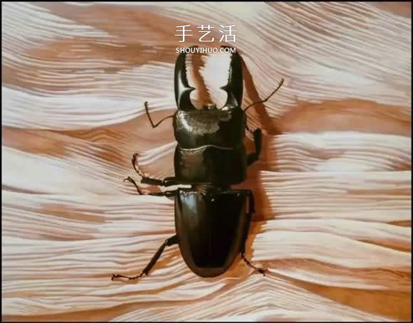 真没糊弄你！韩国画家一笔一笔画的超写实画(图18)