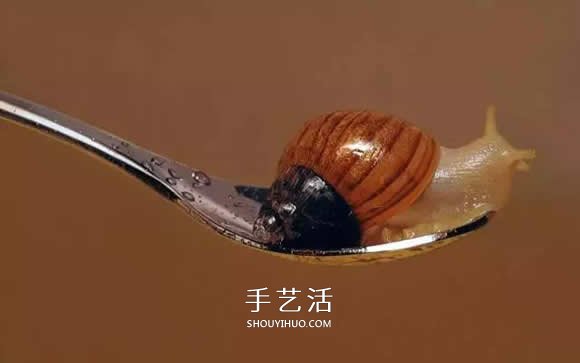 真没糊弄你！韩国画家一笔一笔画的超写实画(图24)