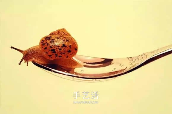 真没糊弄你！韩国画家一笔一笔画的超写实画(图25)