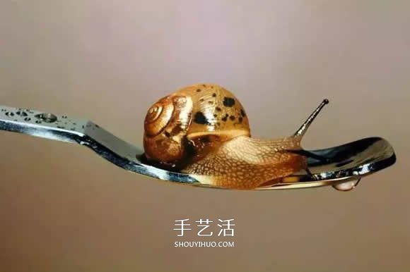 真没糊弄你！韩国画家一笔一笔画的超写实画(图26)