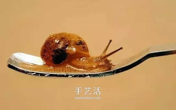 真没糊弄你！韩国画家一笔一笔画的超写实画(图28)