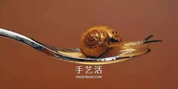 真没糊弄你！韩国画家一笔一笔画的超写实画(图27)