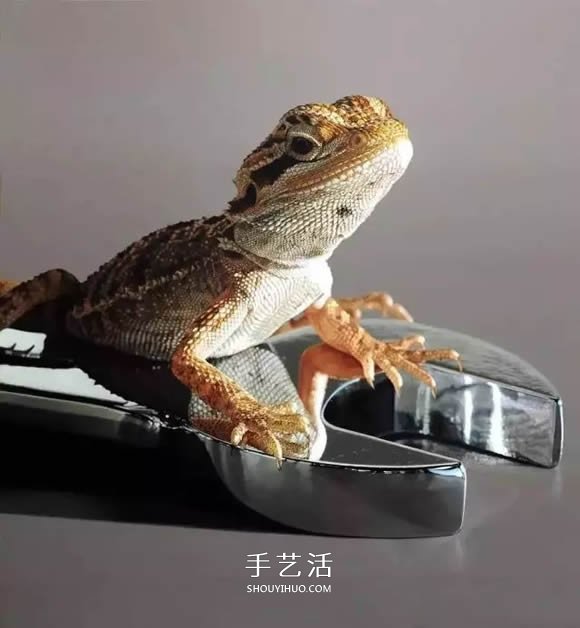 真没糊弄你！韩国画家一笔一笔画的超写实画(图31)