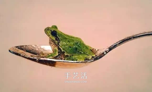 真没糊弄你！韩国画家一笔一笔画的超写实画(图39)