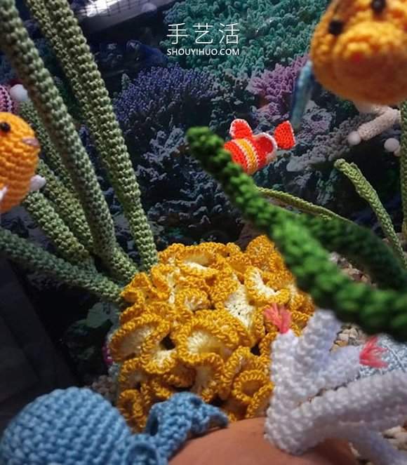 她钩织海洋生物，制作出一个逼真的水族馆(图5)