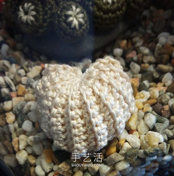 她钩织海洋生物，制作出一个逼真的水族馆(图7)