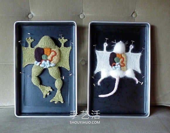 动物解剖针织作品！将解剖场面变成可爱展示 - 双维造物网
