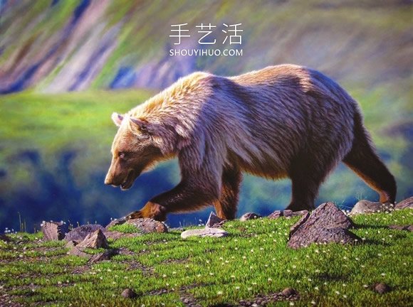 仿佛会跃出画布！逼真画作捕捉野生动物之美(图11)