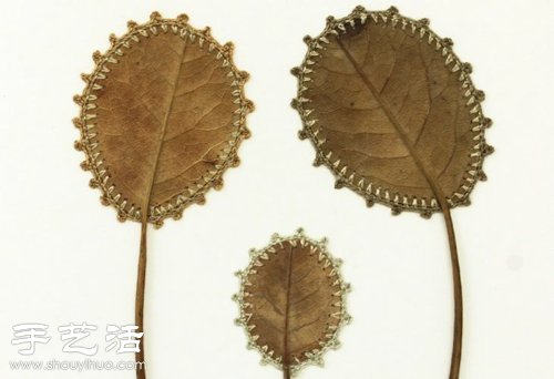 枯叶+创意+DIY 手工制作精妙工艺品(图4)