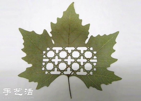 融合中国剪纸及雕花工艺的树叶雕刻(图3)