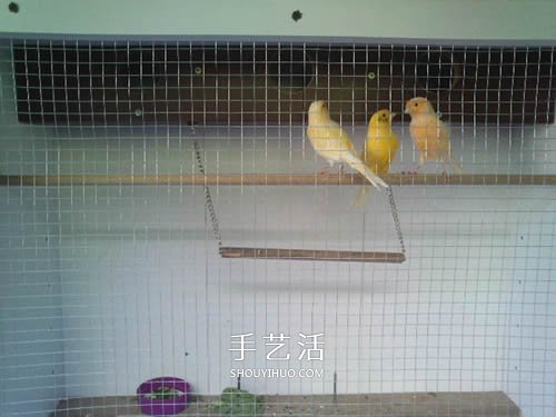 旧书架改造鸟柜的方法 旧家具DIY制作超大鸟笼(图10)