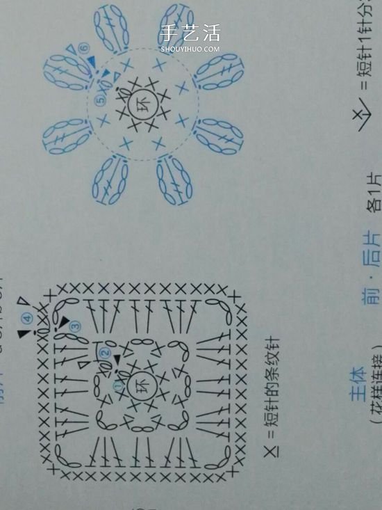 保暖又好看！钩针编织百日菊坐垫的编法图解(图8)