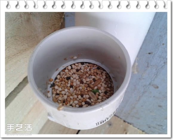 鸡舍改造成鸟舍的方法 自制大空间鸟舍DIY教程(图15)