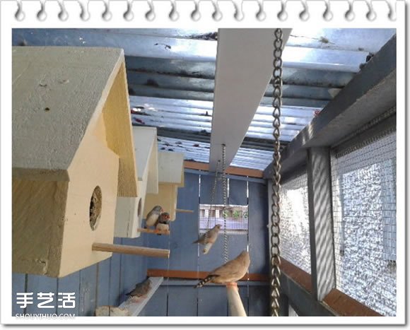 鸡舍改造成鸟舍的方法 自制大空间鸟舍DIY教程(图22)