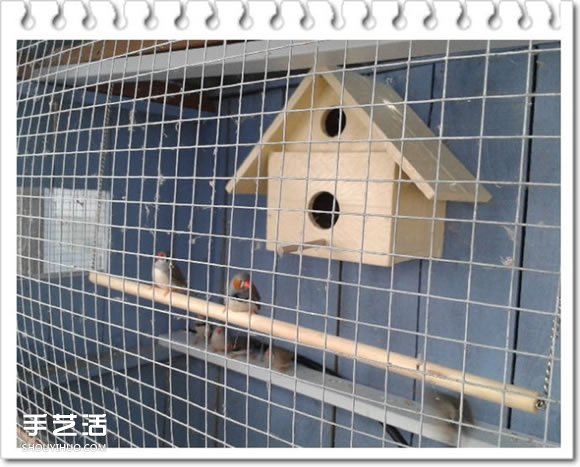 鸡舍改造成鸟舍的方法 自制大空间鸟舍DIY教程(图23)