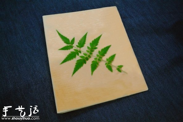叶片印染DIY，制作小清新书本封面(图4)