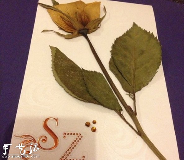DIY干花裱框标本，干花裱框标本制作方法(图8)