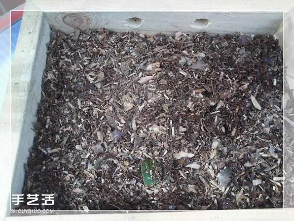 镜框改造多肉植物花盆 创意多肉花盆DIY方法(图11)