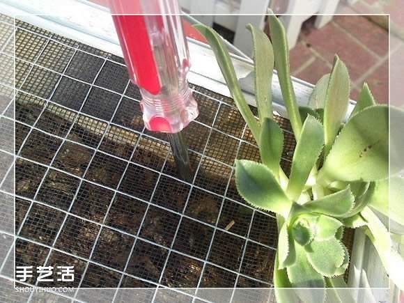 镜框改造多肉植物花盆 创意多肉花盆DIY方法(图19)