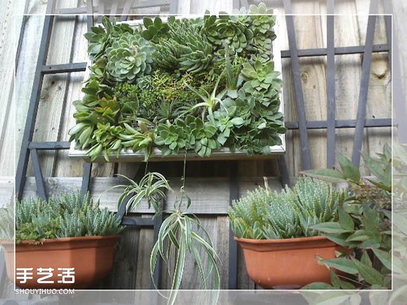 镜框改造多肉植物花盆 创意多肉花盆DIY方法(图23)