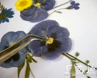 押花手工DIY方法(图7)