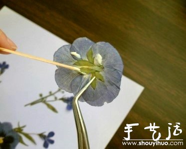 押花手工DIY方法(图6)