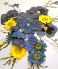 押花手工DIY方法(图9)